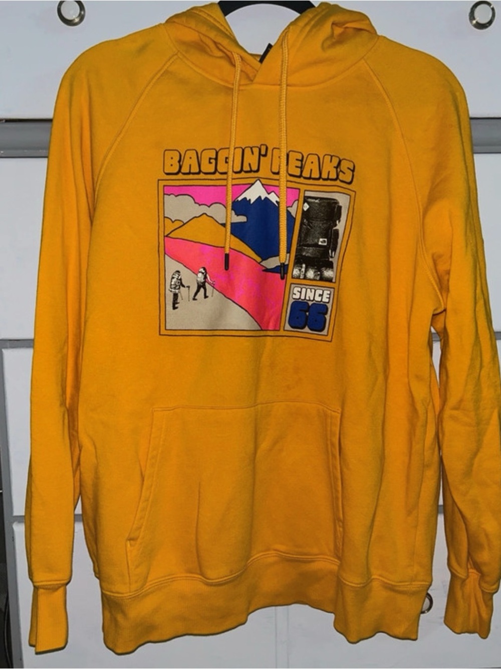 The North Face Baggin’ Peaks Hoodie